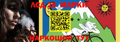 стафф Лесосибирск