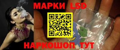 стафф Лесосибирск