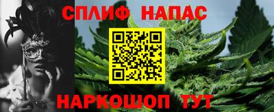 стафф Лесосибирск