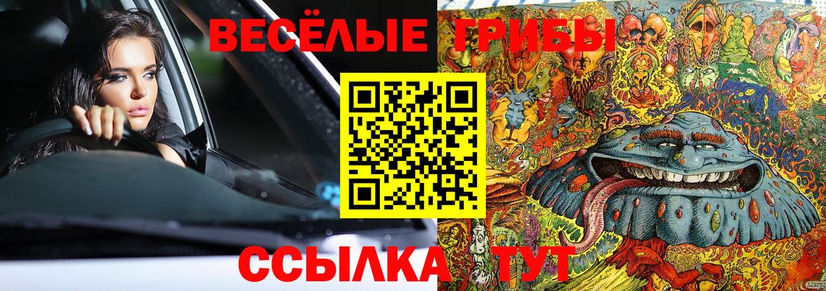 Галлюциногенные грибы Psilocybine cubensis Биробиджан